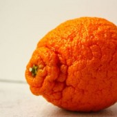 Sumo mandarins