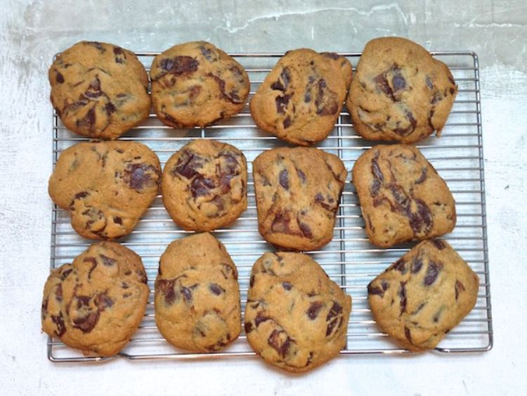 The dangerous world of Cookie Doodle Feed me dearly