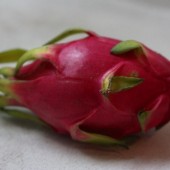 Dragon fruit