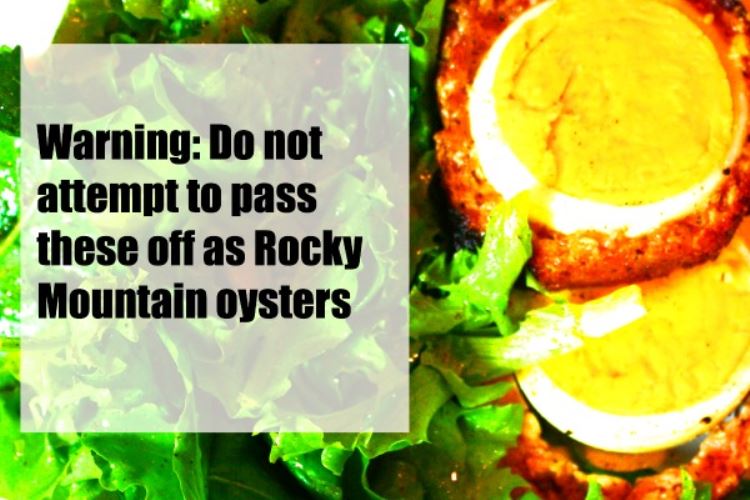 rocky mountain oysters Feed me dearly