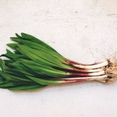 Ramps