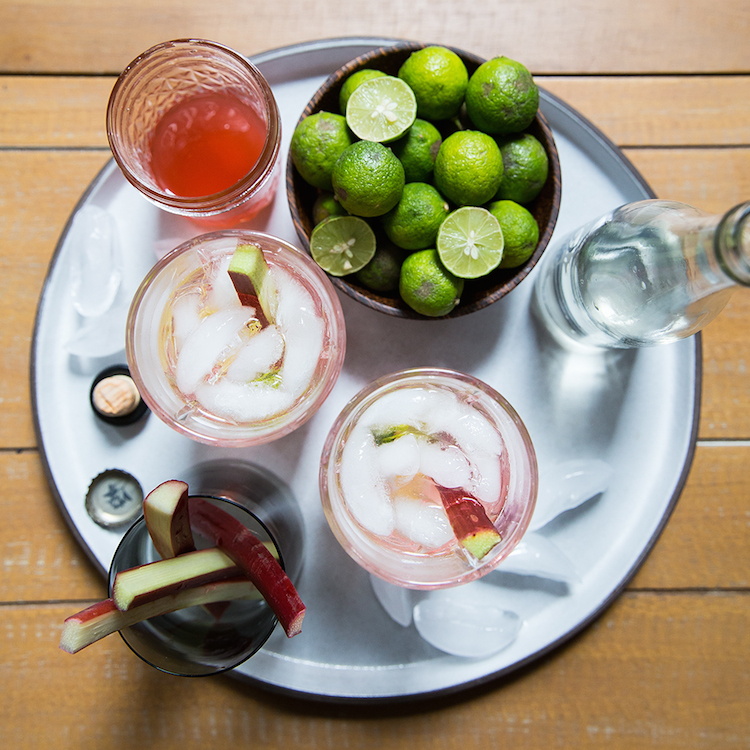 rhubarb_gin_tonic_1 Feed me dearly